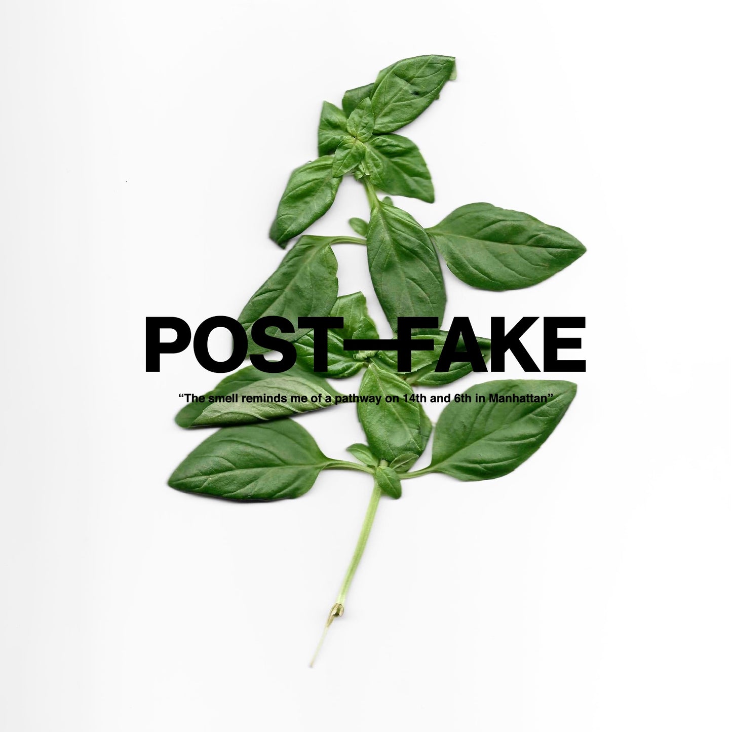 "POST-FAKE"