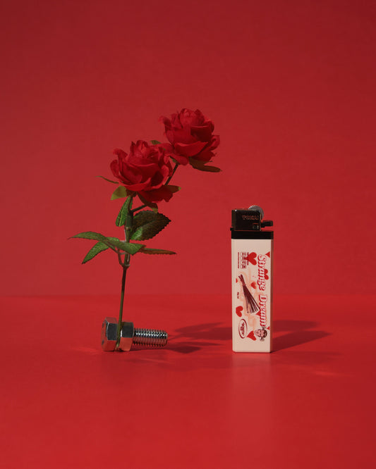 🎁 "LIGHTER" for BONITA (100% off)